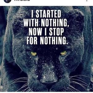 Meet your Posher, Vince greene